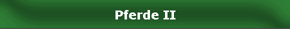 Pferde II